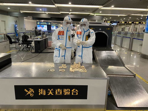 警惕！回蓉旅客攜帶象牙手鐲被成都海關查獲，教學模型制造需守法規