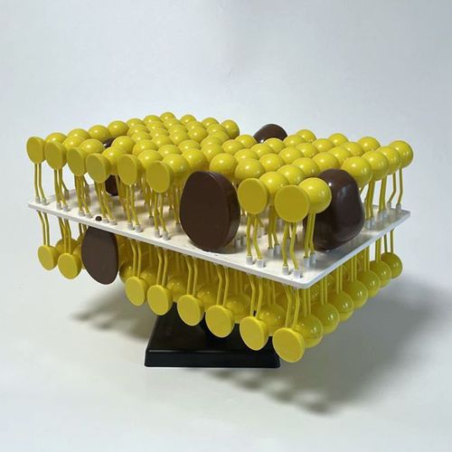 細(xì)胞膜流動鑲嵌模型 生物課堂的理想教學(xué)工具